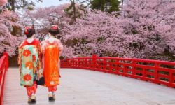 קרוז ליפן וטיול מאורגן ליפן בפסח – תקופת פריחת הדובדבן