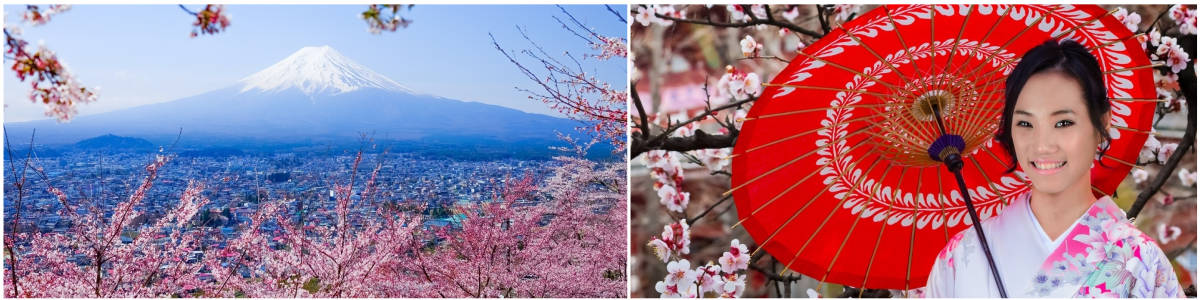טיול ליפן בעונת האביב