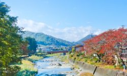 טיול לחוויה היפנית – מסלול עומק תרבותי וגיאוגרפי בתקופת השלכת